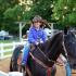 Woodstock Cuba Saddle Club Show